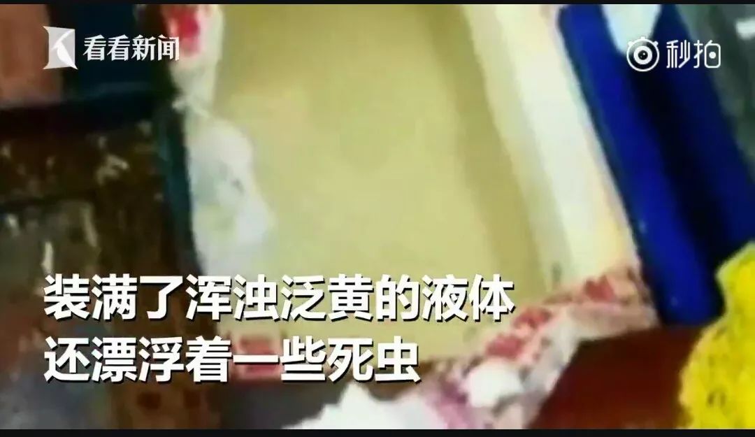 一根甘蔗榨五瓶蔗汁?!知道真相的我果断选择了……