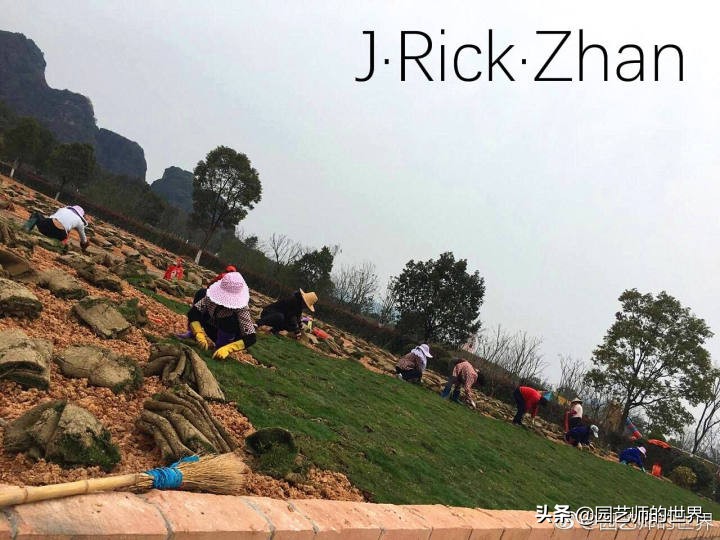 果岭草坪的种植养护方法及技巧,怎么种植一个可以躺的草坪