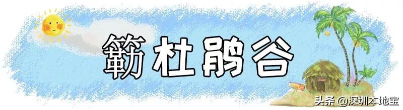 深圳完全免费的十大景点,深圳10大免费景点上集