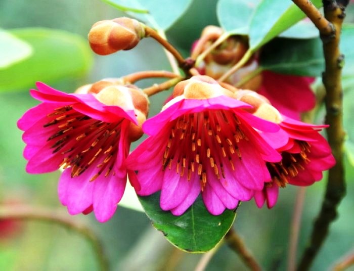 醒悟人生的句子透彻走心句句受益,看透人生醒悟的句子