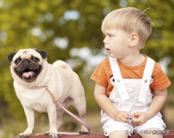 被宠物猫咬伤出血要打狂犬疫苗吗,宝宝被宠物咬伤时的紧急处理方法