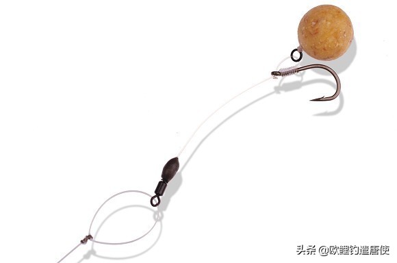 欧鲤钓钓组篇,欧鲤钓组和飞德钓组