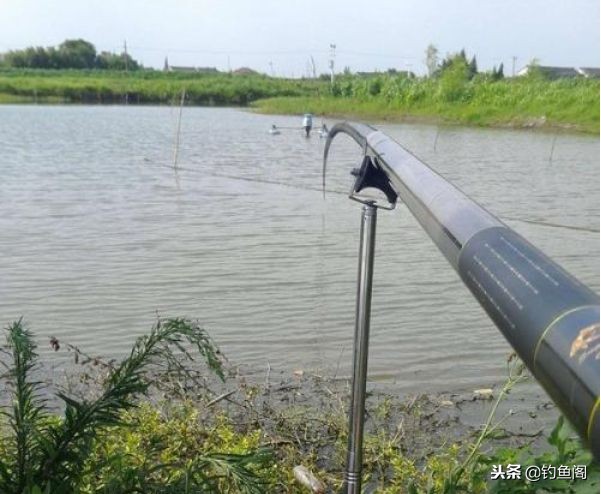 如何选择鱼竿的正确方法,鱼竿怎么选择长短的比较好呢