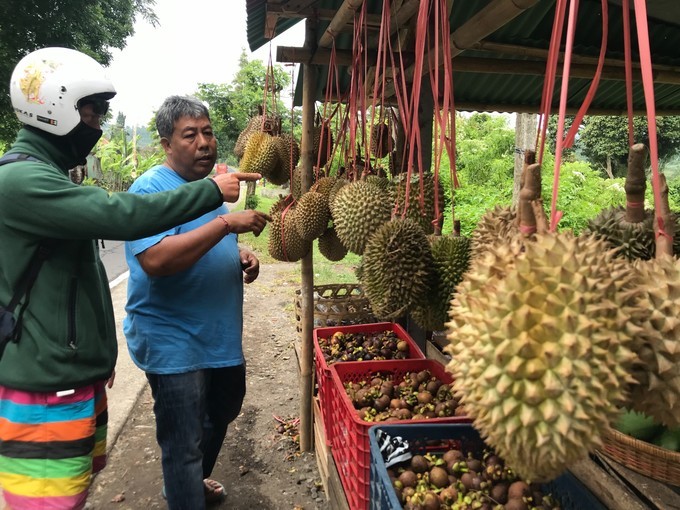 在乌布打个盹然后去吉利岛撒欢