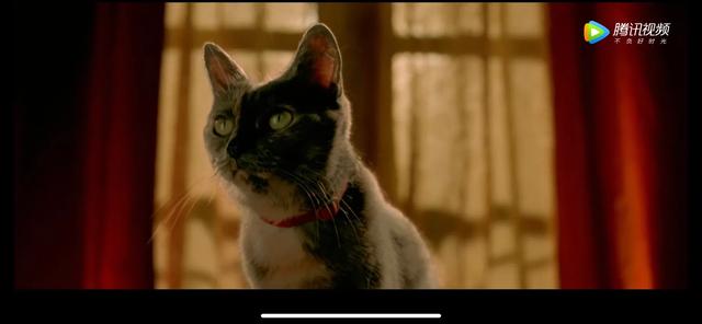 天使爱美丽音乐片段,天使爱美丽钢琴曲含义