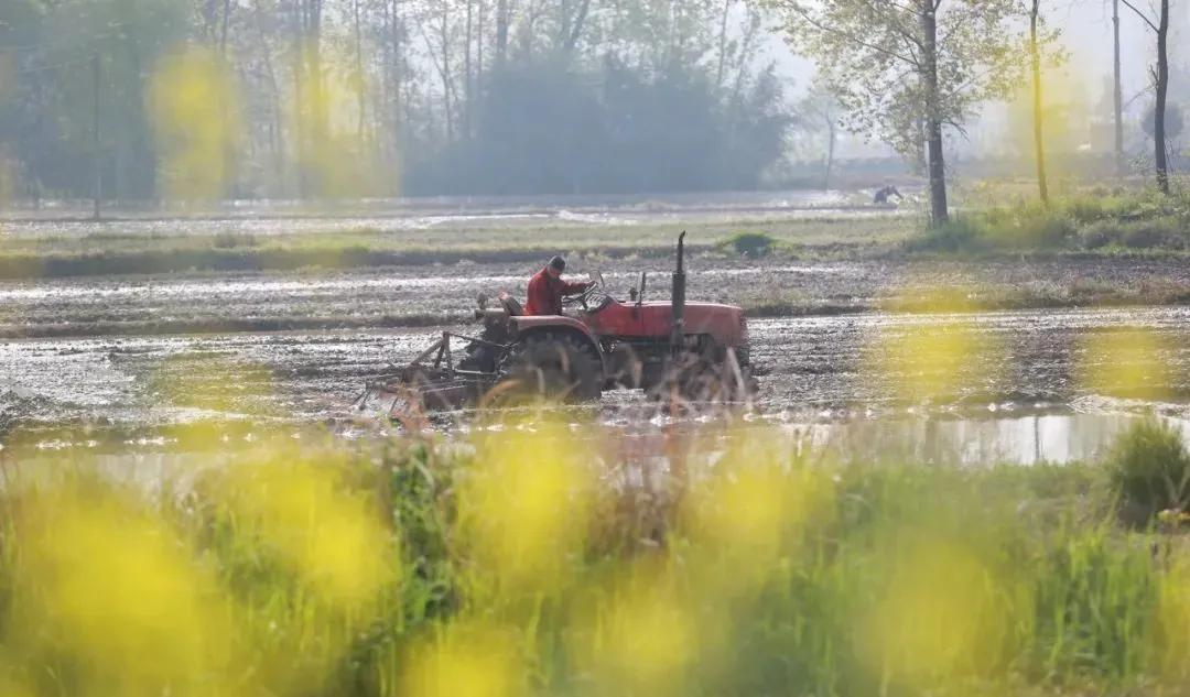 湖北襄阳谷城庙滩喻家湾,谷城县庙滩镇喻家湾村书记