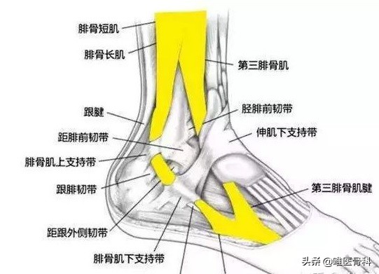 旅行走久了腰疼,旅行带来的后遗症