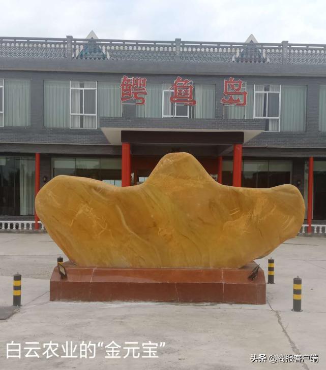 湖南稻湖生态农业开发有限公司,湖南白云生态农业