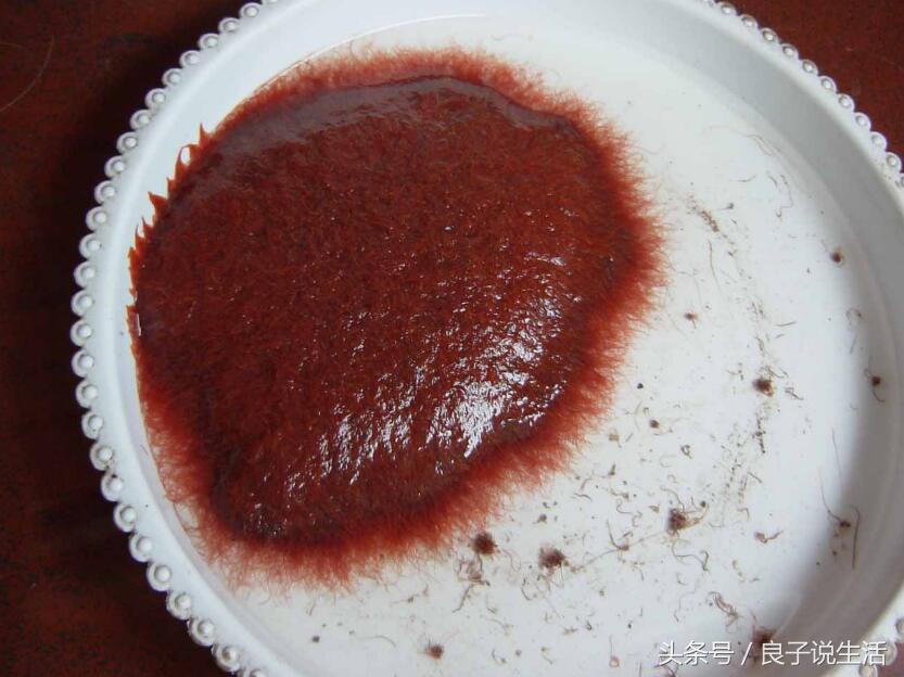 如何把金鱼养好了再养大,怎样才能把金鱼养活