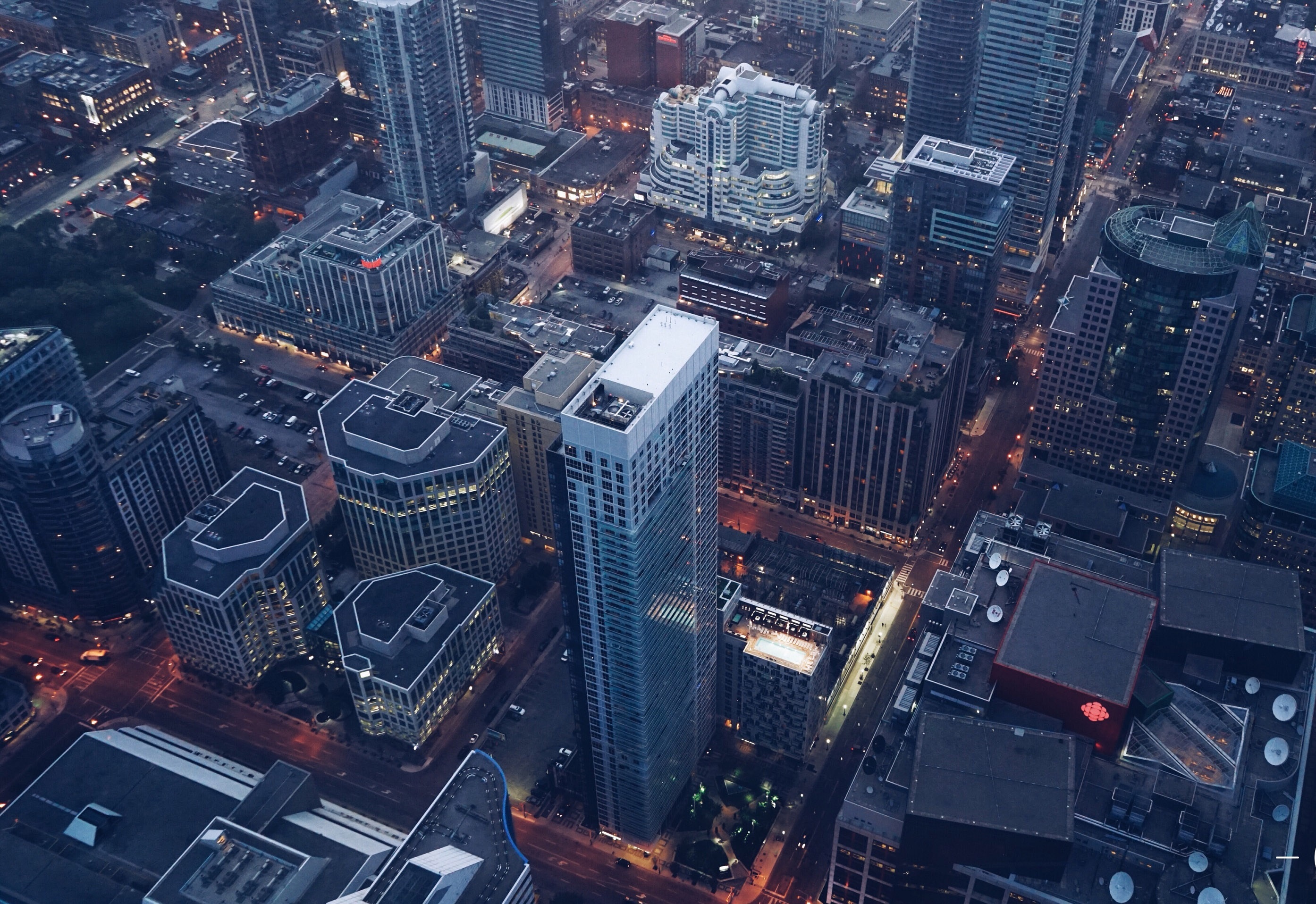 多伦多为什么是公猪之城,多伦多为什么叫公猪之城