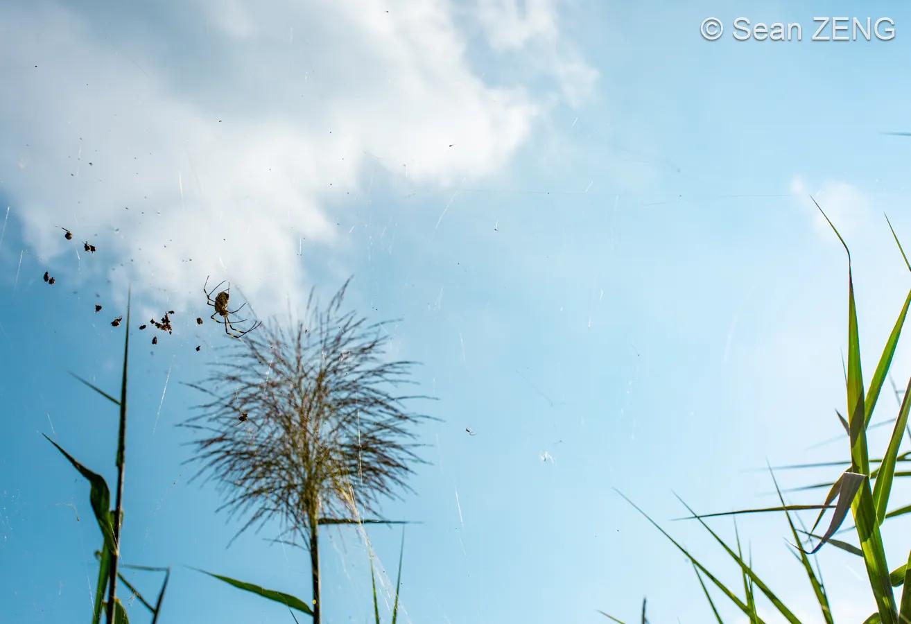 不负光阴不负自己,光阴不负岁月可期