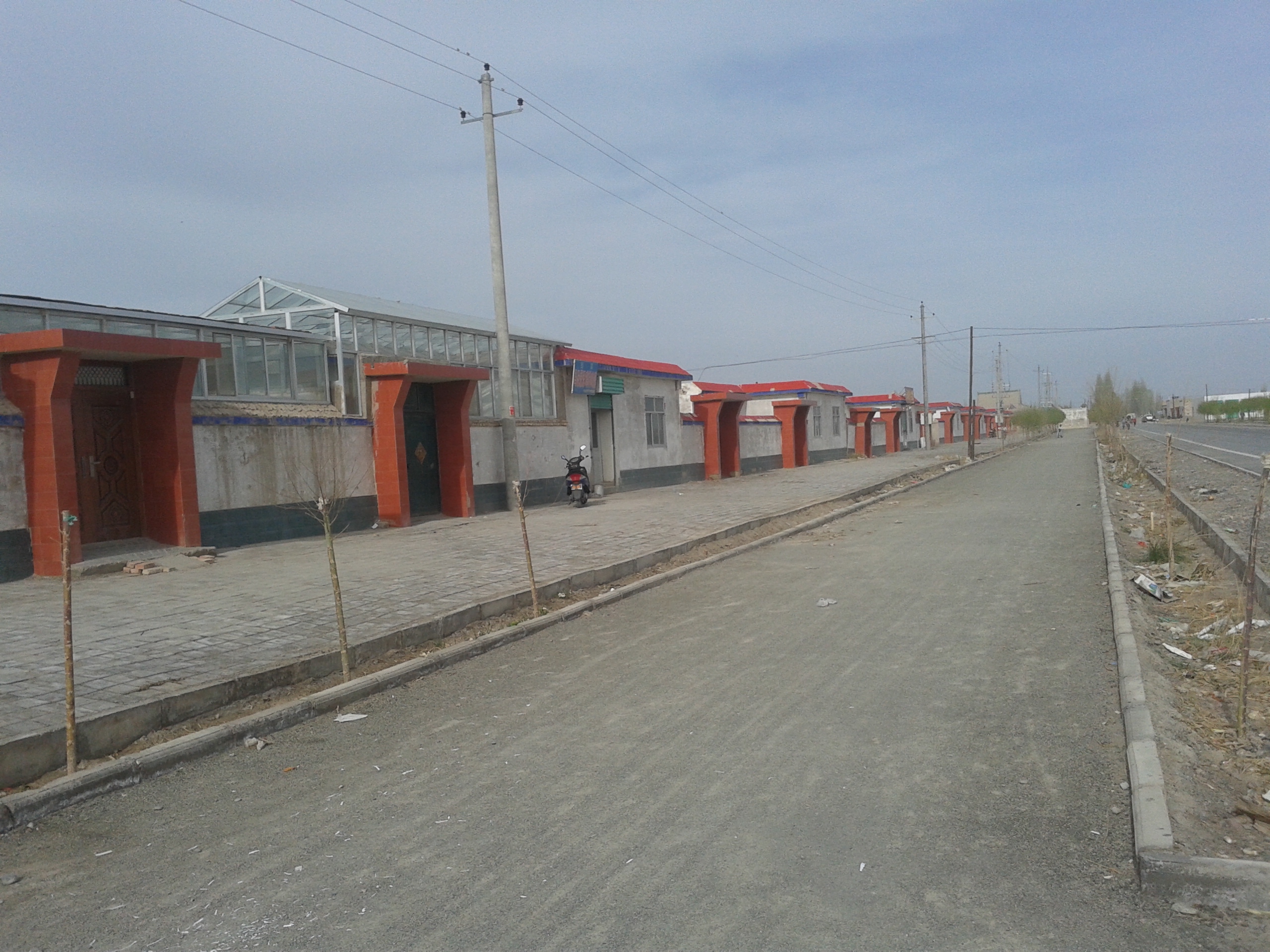 乡村振兴致富带头人政策作用,新农村致富好项目