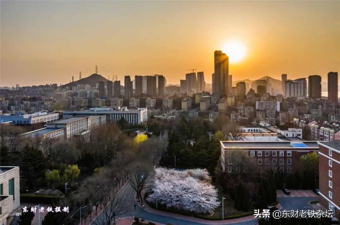 网红美景,网红一棵树樱花园