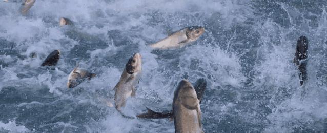 长沙好吃的冷吃美食,长沙冬日必吃