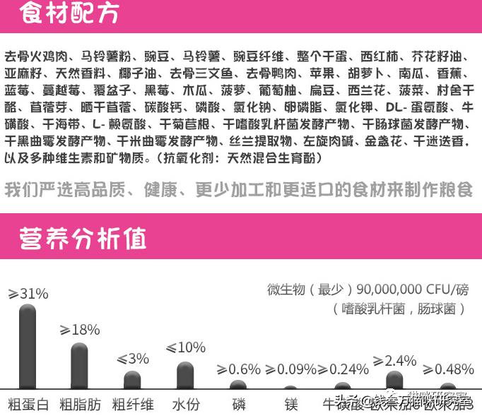 猫粮now评测,进口猫粮到底怎么选