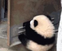 为什么不熬夜眼袋和黑眼圈也很重,长期黑眼圈不熬夜也不恢复怎么办