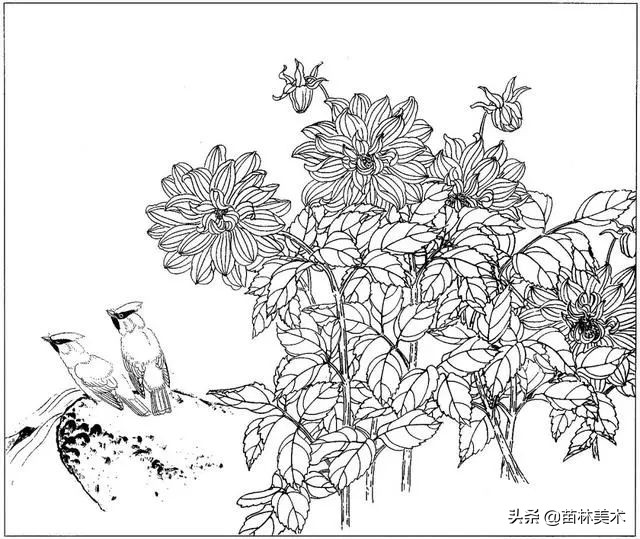 现代国画工笔花鸟白描及完整版,路雨年工笔白描花鸟团扇高清图片