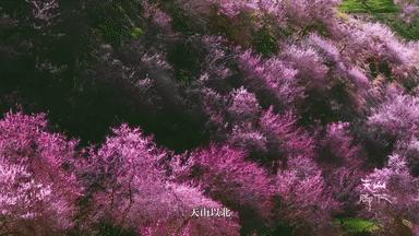 我国旅游日,中国旅游日5.19意义