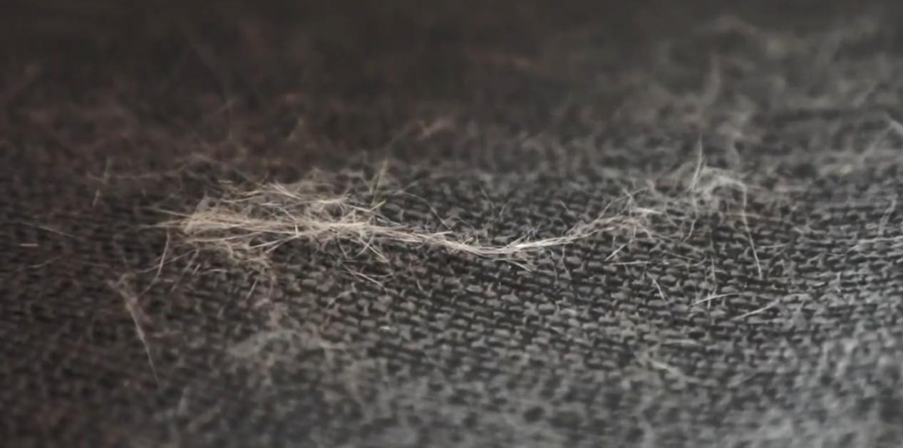 最新款小狗与戴森吸尘器真实测评,小狗吸尘器戴森