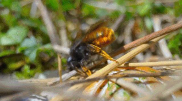 豆瓣9.6！娃刷到停不下来，还能看出人生大道理