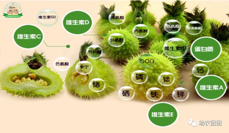 助农团团最新视频,助农团团印江