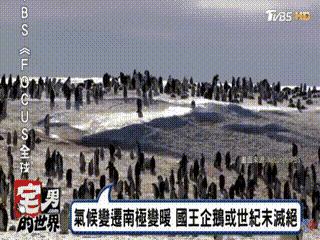 2019年地球进入小冰期,地球是大灾大难还是地球末日