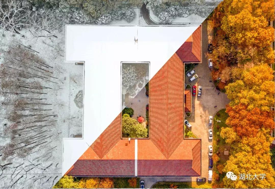 今天是你的生日，我的湖北大学！书记喊你回学校打卡