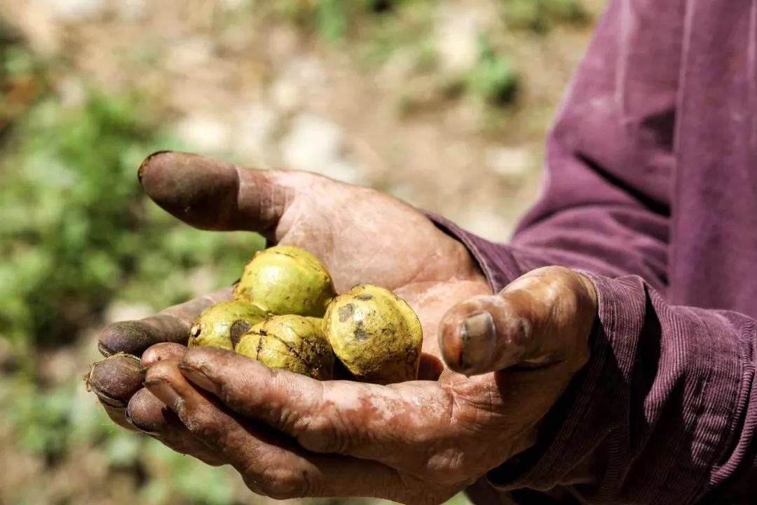 来伊份在零食界的排名,来伊份零食未来前景