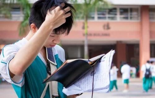 530分考生含泪直言，宁当“鸡头”不当“凤尾”，绝不报本科