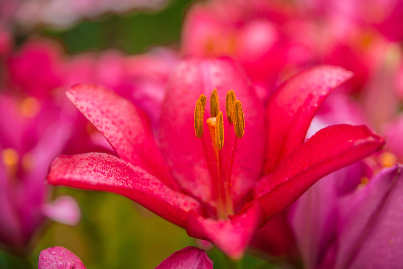 常州周边最新一日游景点推荐,常州自驾游景点推荐一下