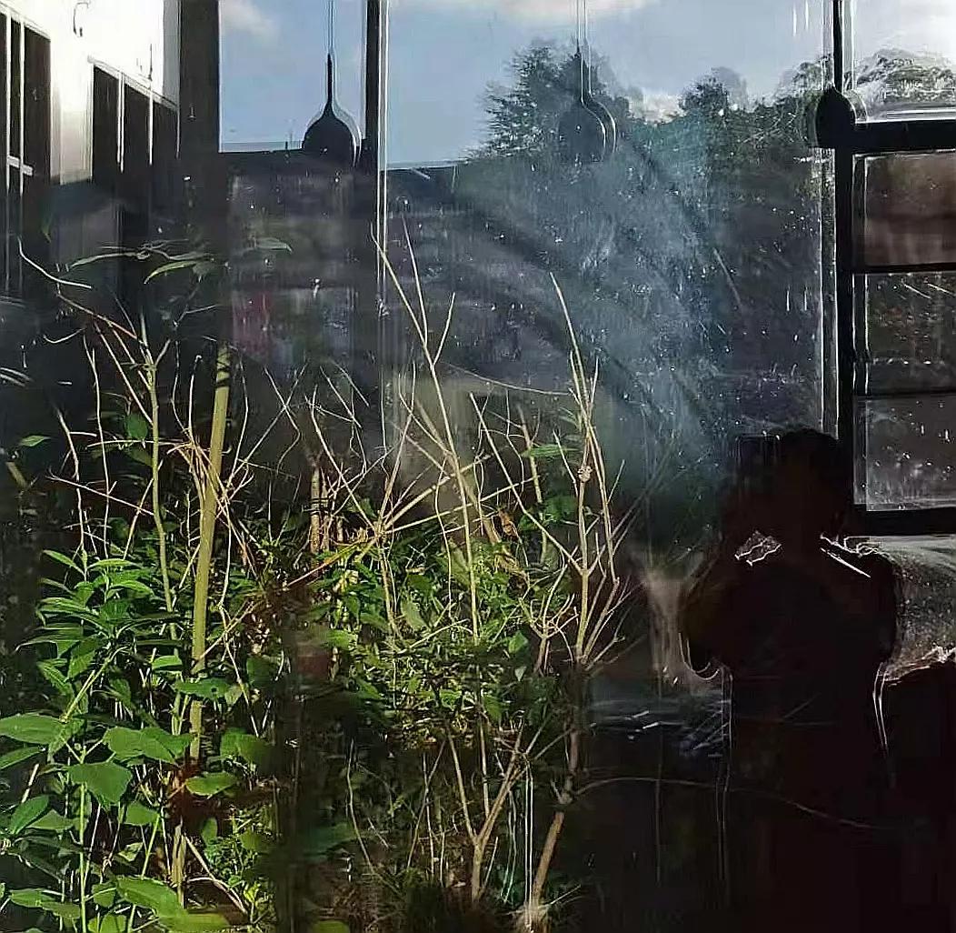 从心出发diy,从心出发用心去做