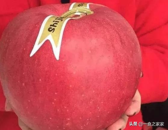 十种最顶级的水果,国内最少见的七大顶级水果