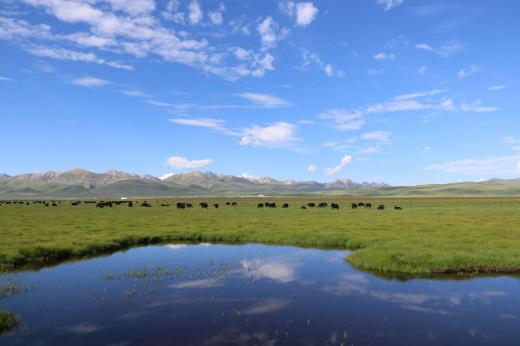 雅莹牦牛绒,雅莹牦牛绒系列