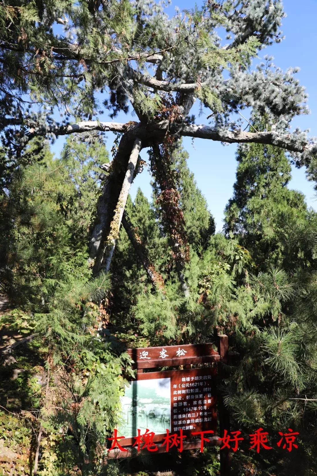 西北最大的古建筑群，毛主席当年都来到过这里