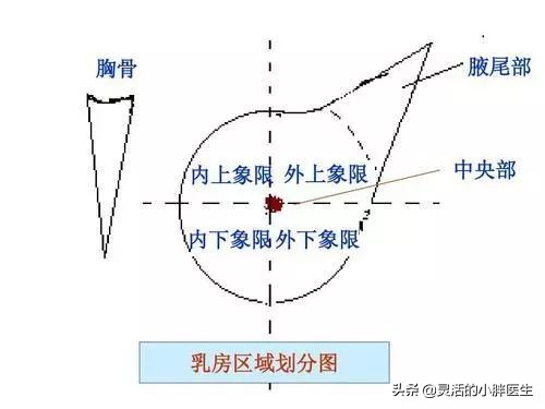 年轻女孩最关心哪些问题,了解女朋友的基本问题笔记