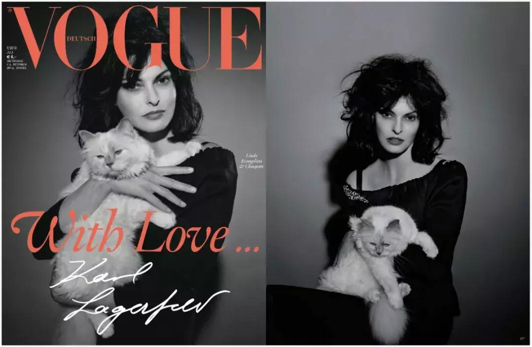 大熊猫一年可以赚钱几个亿,一只猫一年挣3000万