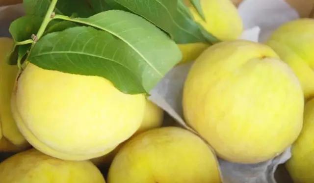 上海的魅力在什么地方,上海十六个区哪个区最好