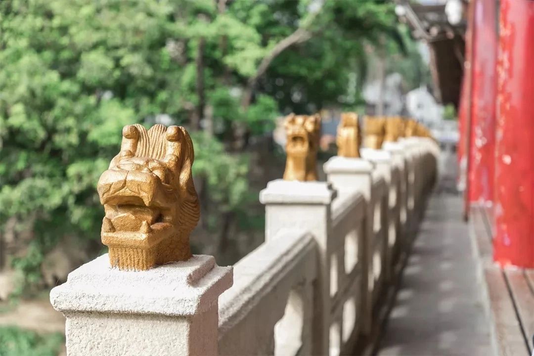 放假在深圳能去哪里玩,放假了可以去深圳的哪些地方玩