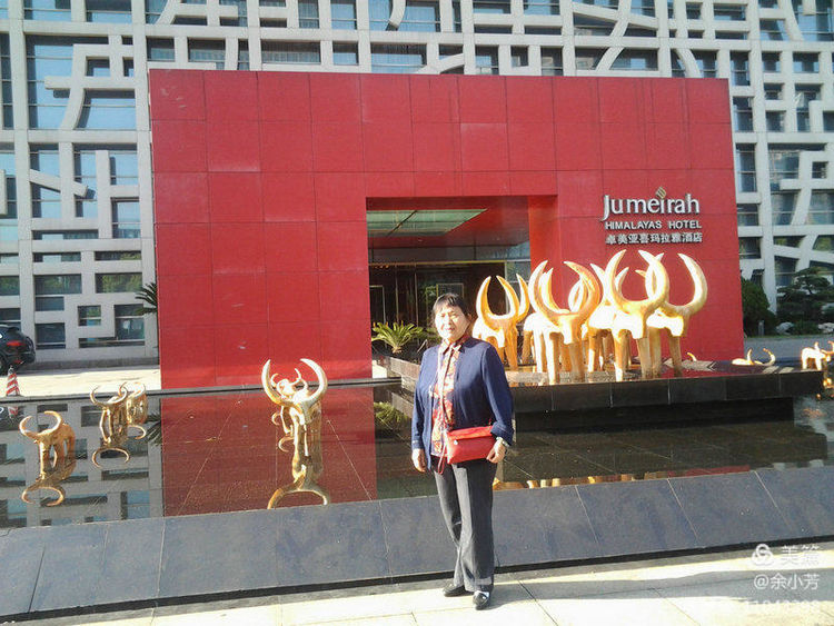 上海新国际博览中心延期,上海新国际博览中心在哪