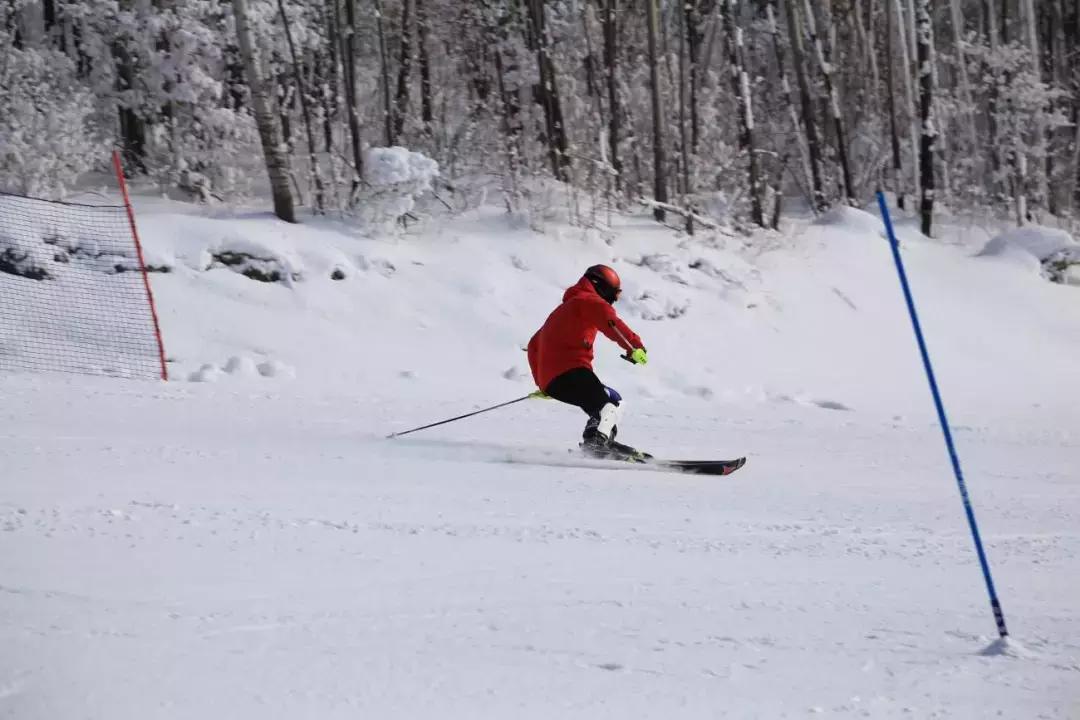 哇！这元旦“两公布一提示”攻略，各位可爱的童鞋快快收藏起来！