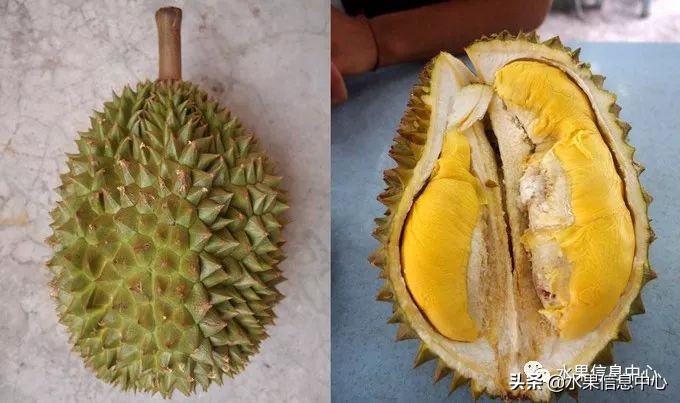 泰国最好的榴莲是什么榴莲,泰国榴莲与越南榴莲
