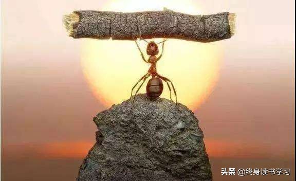 浮躁的时候静下来修心,浮躁的时候怎么保持内心平静