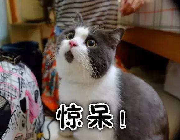 你唯一能“自由”的水果，可能要灭绝了