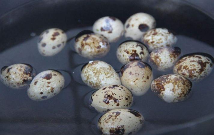 煮鹌鹑蛋不破裂的正确方法,不剥壳鹌鹑蛋怎么煮才会入味