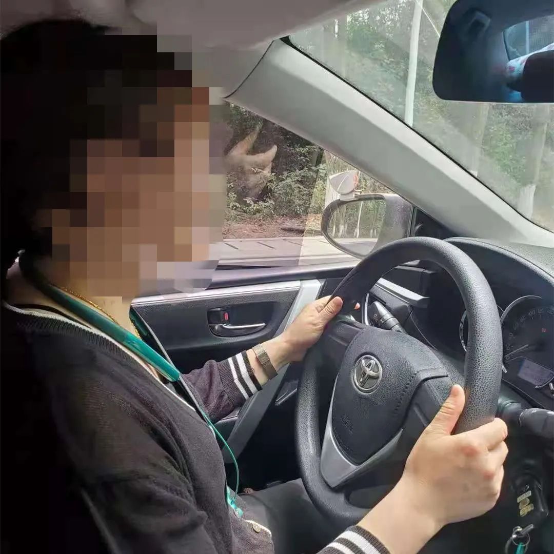 学员左右不分的搞笑教学,驾校学员左右不分