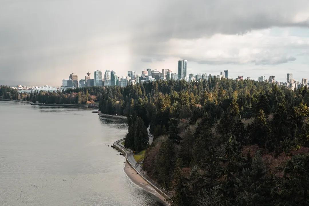 买房子别超过自己能力,买独立的天地楼房好吗