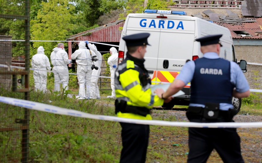 法国一个小女孩被虐待致死,爱尔兰17岁少年被杀