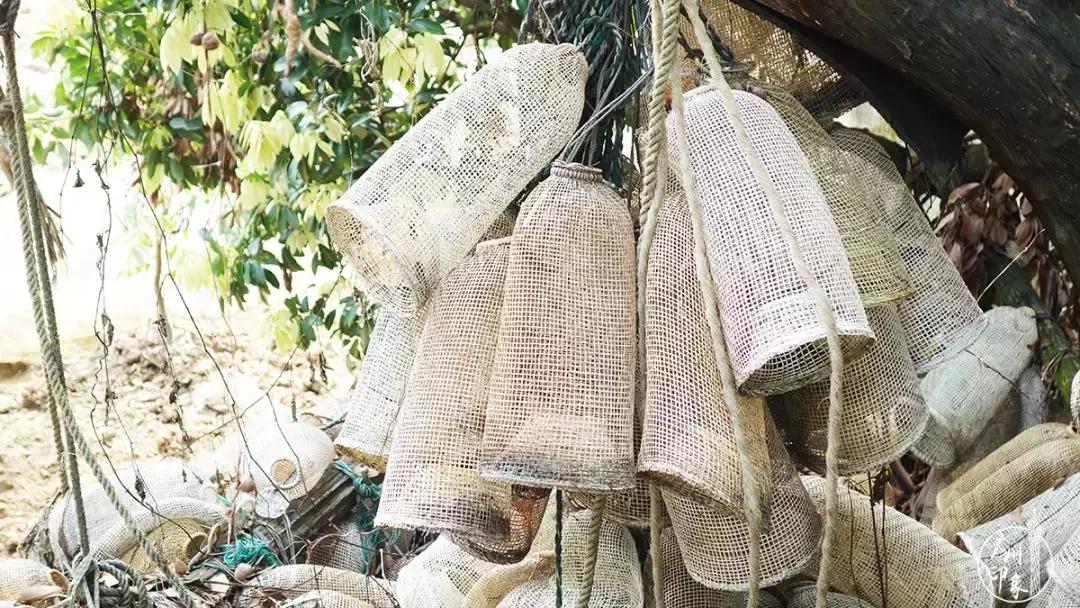 广州隐世峡谷游玩攻略,广州要坐船才能登的小岛