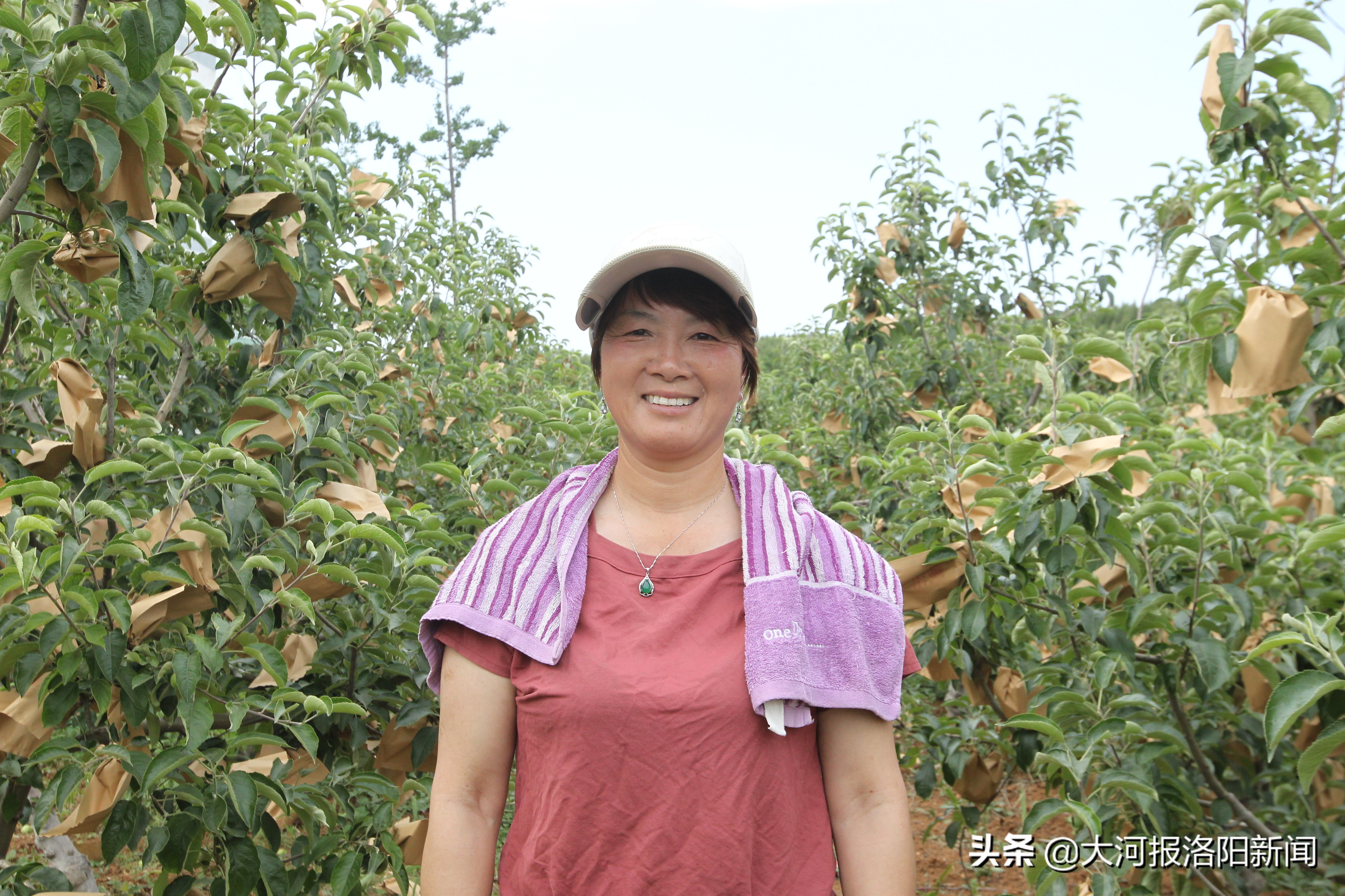 农村创业种果树成功真实案例,承包500亩果园的艰辛历程