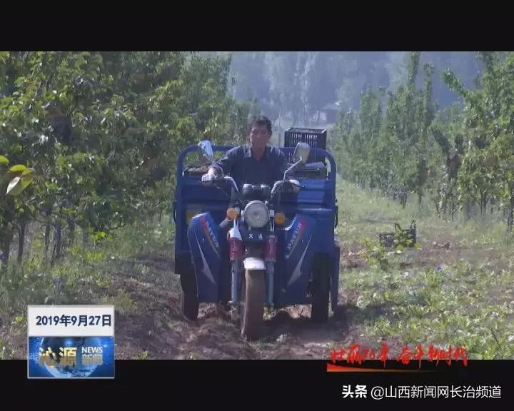 「绿色沁源」交口乡长征村：晚秋黄梨种植开启“黄金之路”